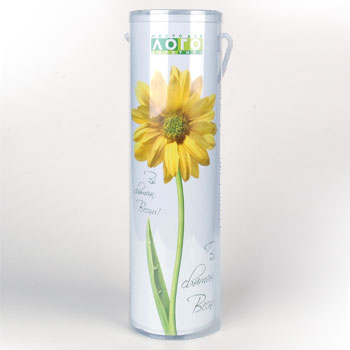 Коробка (бутылка) 12 Коробка (бутылка) 12